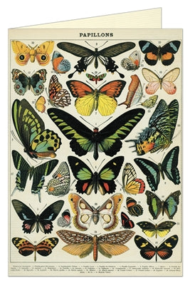 Butterflies Greeting Card