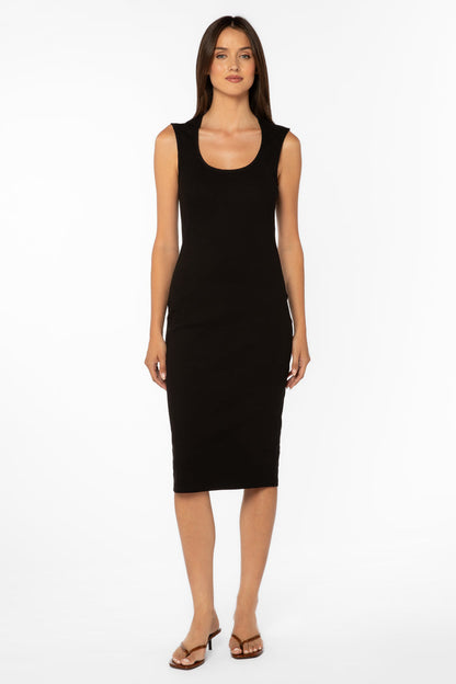 Aldene Black Dress - Dresses - Velvet Heart Clothing