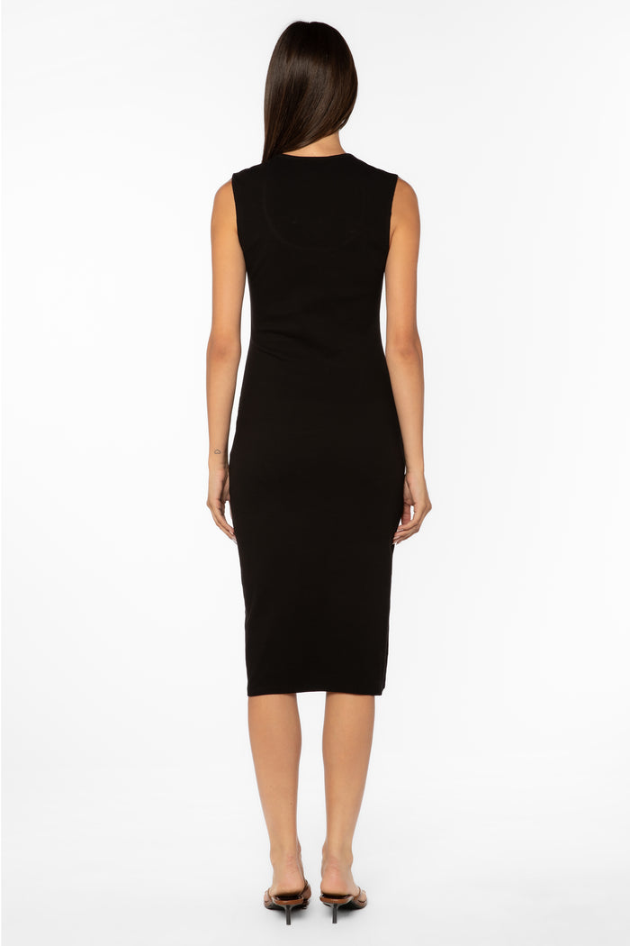 Aldene Black Dress - Dresses - Velvet Heart Clothing