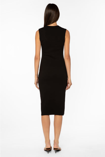 Aldene Black Dress - Dresses - Velvet Heart Clothing
