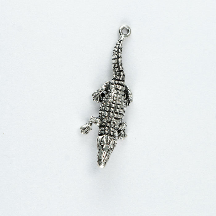 Alligator