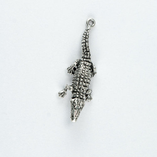 Alligator