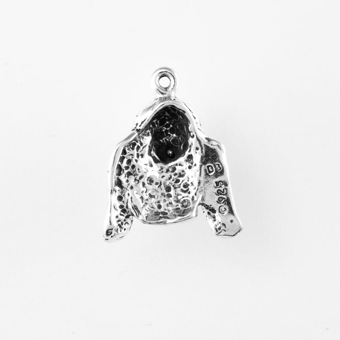Basset Hound, Head