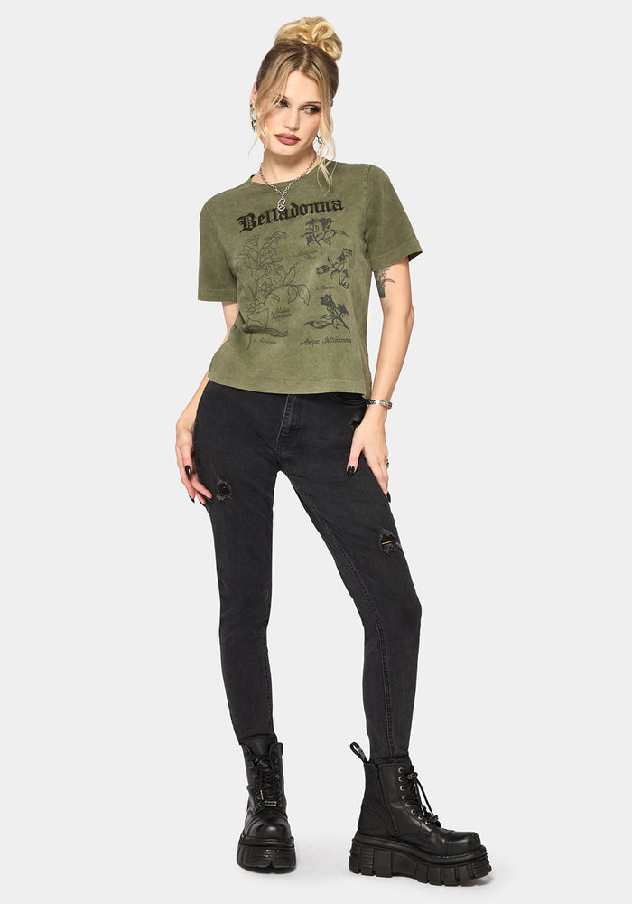 Belladonna Graphic Embroidered Regular Fit T-Shirt