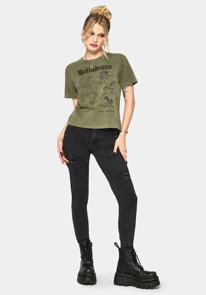 Belladonna Graphic Embroidered Regular Fit T-Shirt