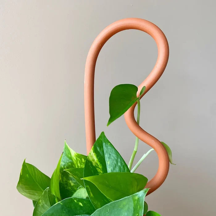 Bobby Pin Plant Stake