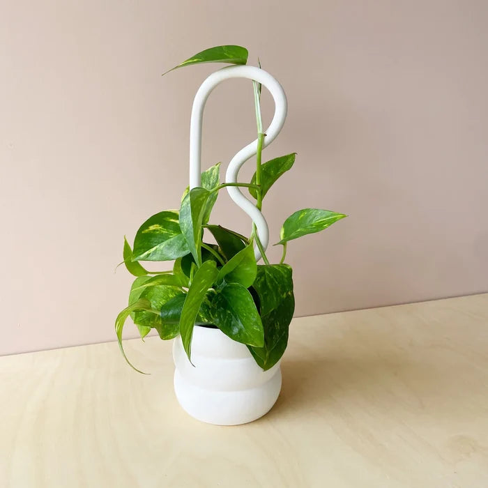 Bobby Pin Plant Stake