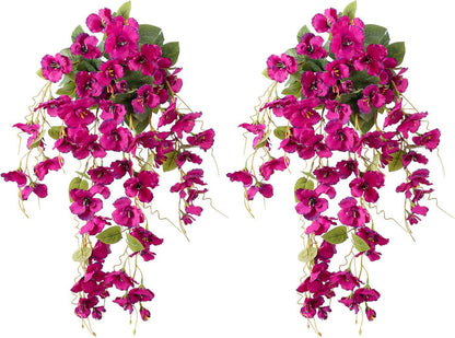 Fuchsia