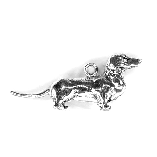 Dachshund, XLG Body