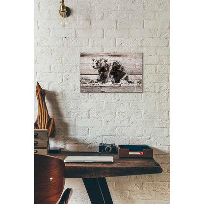 Epic Graffiti 'Black Bear 1' by Irena Orlov, Giclee Canvas Wall Art