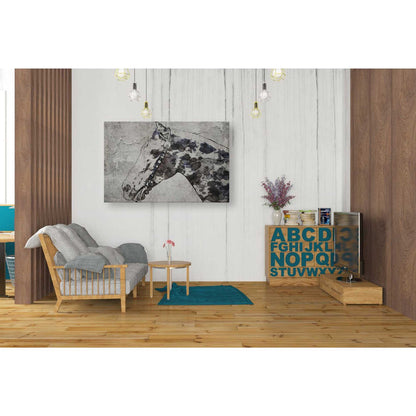 Epic Graffiti 'Black Ghost Horse 2' by Irena Orlov, Giclee Canvas Wall Art