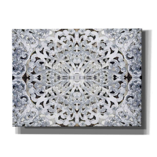 Epic Graffiti 'Elegant Pattern 3' by Irena Orlov, Giclee Canvas Wall Art