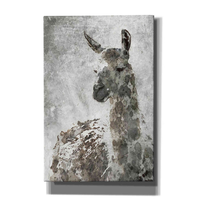 Epic Graffiti 'Llama' by Irena Orlov, Giclee Canvas Wall Art