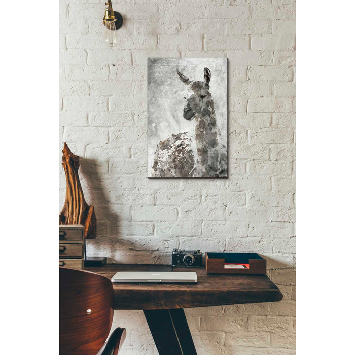 Epic Graffiti 'Llama' by Irena Orlov, Giclee Canvas Wall Art