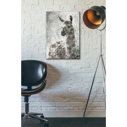 Epic Graffiti 'Llama' by Irena Orlov, Giclee Canvas Wall Art