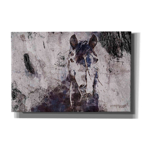 Epic Graffiti 'Mustang Horse 22' by Irena Orlov, Giclee Canvas Wall Art