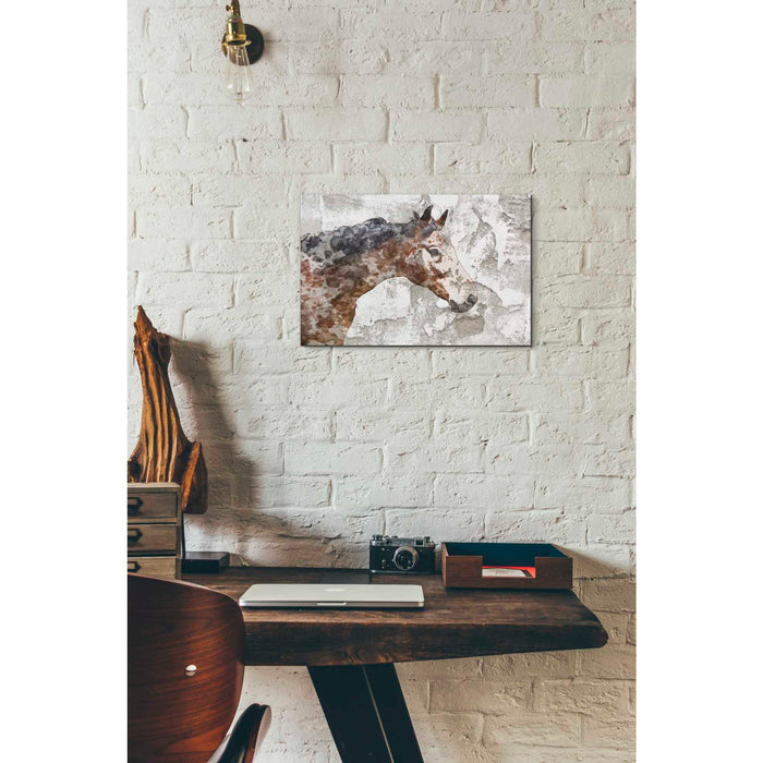 Epic Graffiti 'Rustic Brown Horse' by Irena Orlov, Giclee Canvas Wall Art