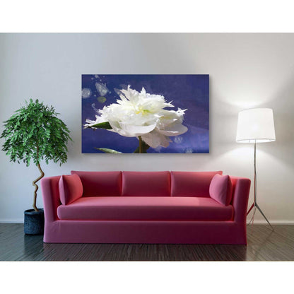 Epic Graffiti 'White Peony-Scents of Heaven' by Irena Orlov, Giclee Canvas Wall Art