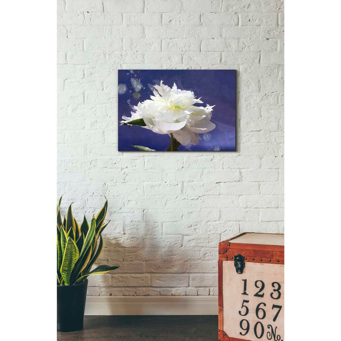 Epic Graffiti 'White Peony-Scents of Heaven' by Irena Orlov, Giclee Canvas Wall Art