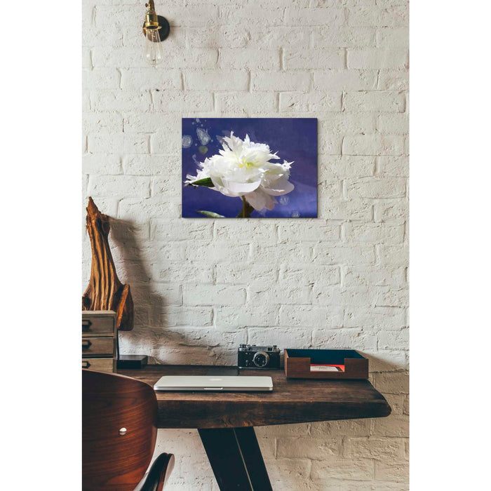 Epic Graffiti 'White Peony-Scents of Heaven' by Irena Orlov, Giclee Canvas Wall Art