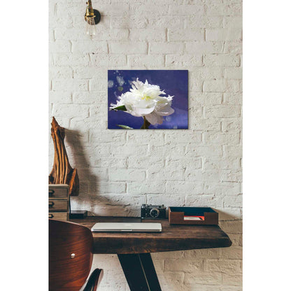 Epic Graffiti 'White Peony-Scents of Heaven' by Irena Orlov, Giclee Canvas Wall Art