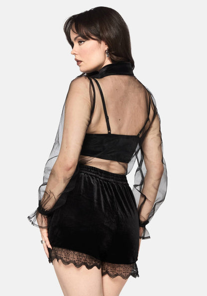 Fen Bug Embroidery Organza Sheer Shirt