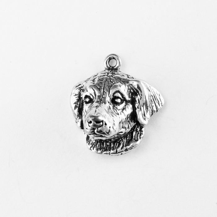 Golden Retriever, Head