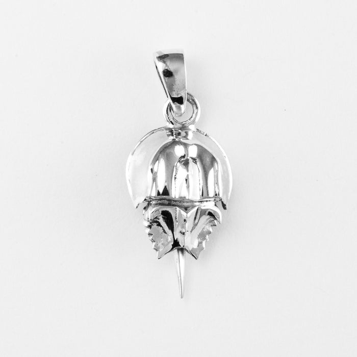 Horseshoe Crab, Sm
