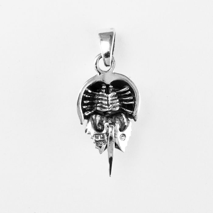 Horseshoe Crab, Sm