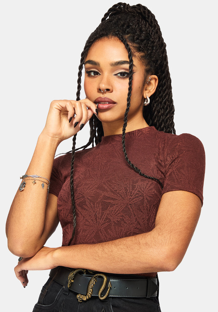Moiren Brown Knit Short Sleeved Crop Top
