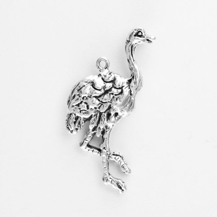 Ostrich