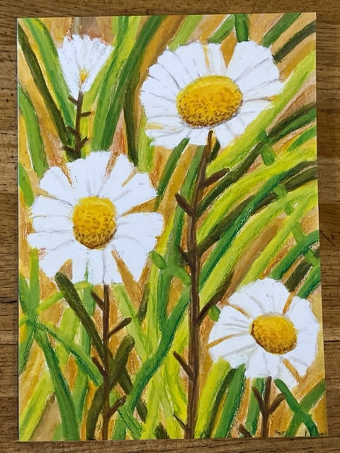 Ox-Eye Daisy Card