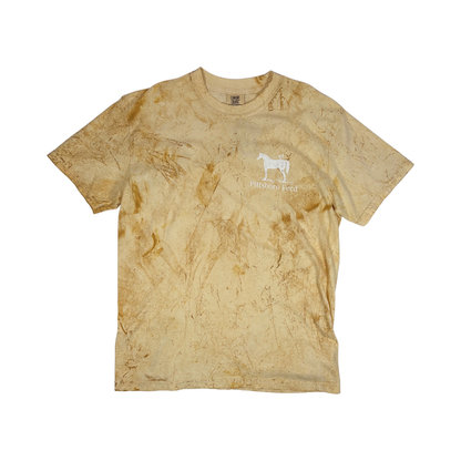 X Large / Citrine