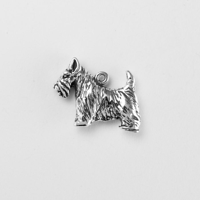 Scottish Terrier