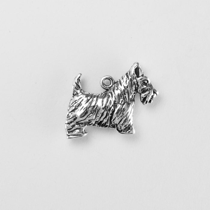 Scottish Terrier
