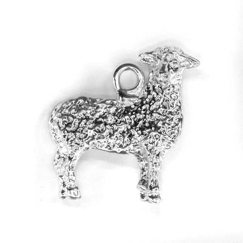 Sheep, Side View
