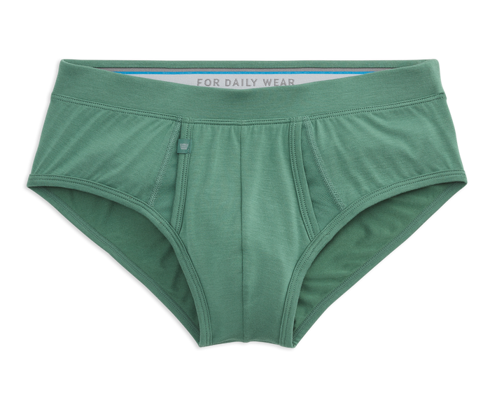 Wild Ivy | Front view of Silver HD Brief in Wild Ivy