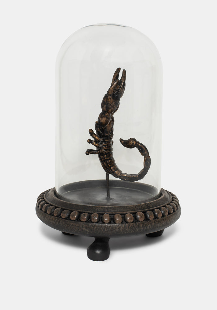 Skara Scorpion In Jar