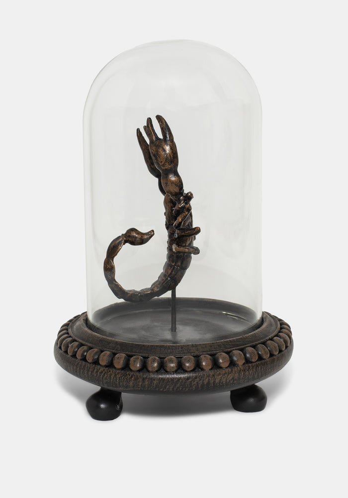 Skara Scorpion In Jar