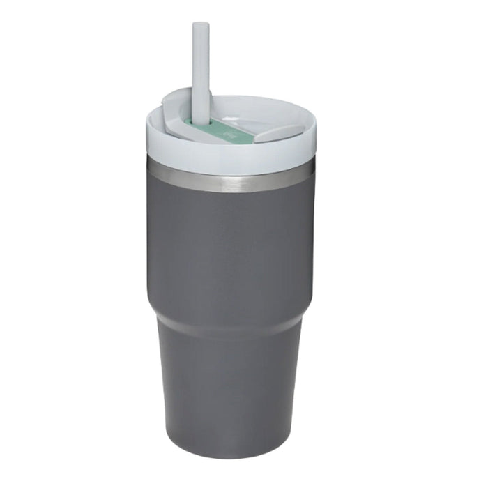 Stanley The Quencher H2.0 FlowState 20oz Tumbler Coolers & Thermos Stanley