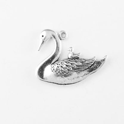 Swan