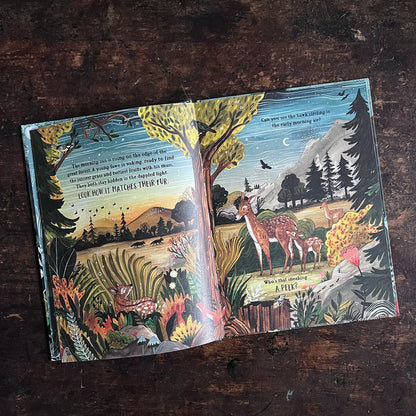 The Secret Forest