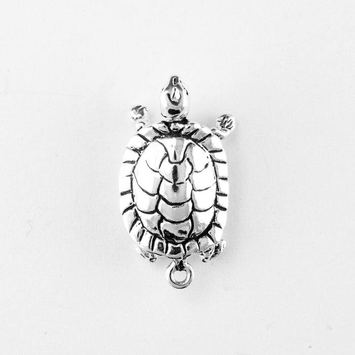 Turtle, Land
