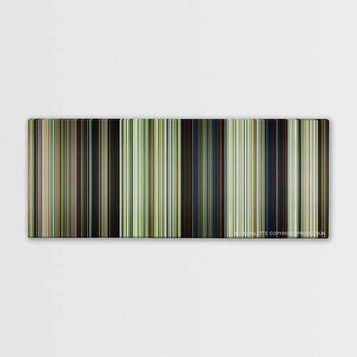 We Were Soldiers color palette canvas print: thousands of thin vertical stripes of color