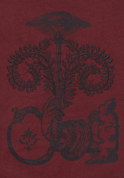 Xove Medieval Graphic Boxy Crop Cotton T-Shirt